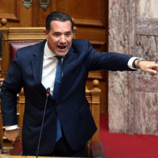 Βουλή: Επίθεση του Άδ. Γεωργιάδη στην Πέτη Πέρκα για τη συμμετοχή της στο Global Sumud Flotilla