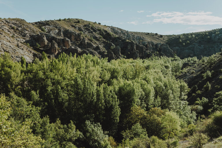 Η ΕΕ αναλαμβάνει δράση για το Antinero: Ξεκινά έρευνα για καταγγελλόμενες παραβιάσεις της περιβαλλοντικής νομοθεσίας