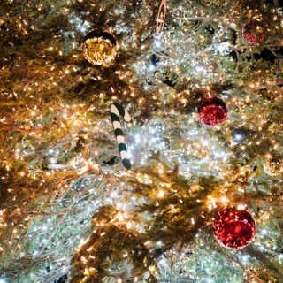 Η Αθήνα «ανάβει» σήμερα το χριστουγεννιάτικο δέντρο της