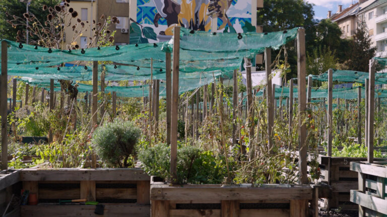 Στη Βουδαπέστη ένας κλιματικός κήπος είναι η απόδειξη ότι μπορούμε να έχουμε δάση στο κέντρο της πόλης