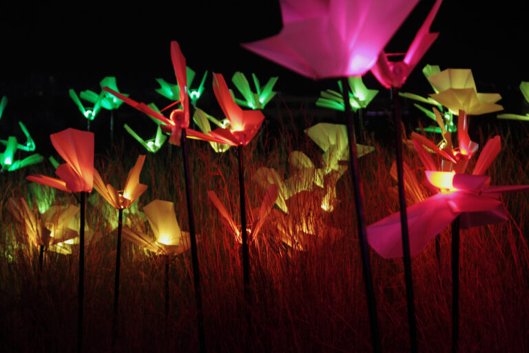 Το BioLumina στο ΚΠΙΣΝ φωτίζει φέτος τις χριστουγεννιάτικες νύχτες μας