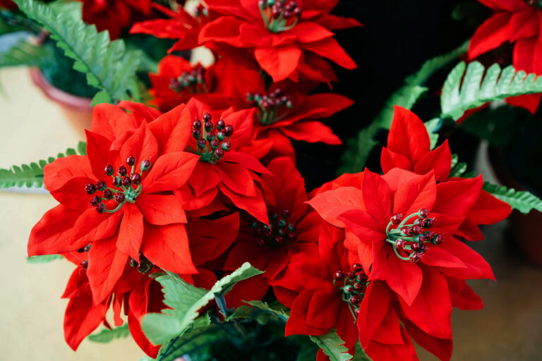 Αλεξανδρινό