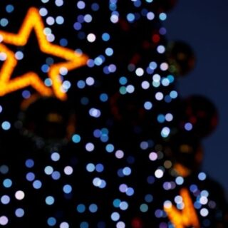 Ινδία: Το χειροποίητο χριστουγεννιάτικο δέντρο που έδωσε φωνή στις γυναίκες της Γκόα