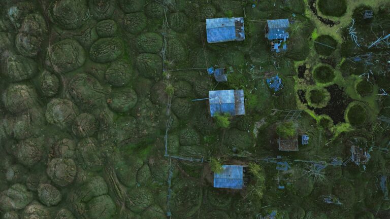 Γιώργος Αυγερόπουλος