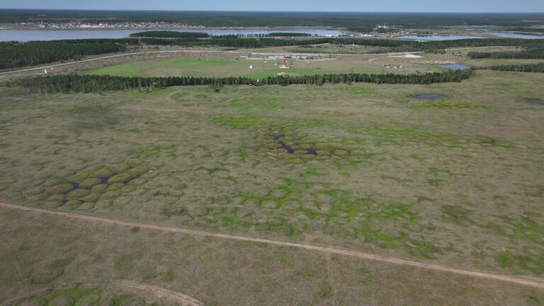Γιώργος Αυγερόπουλος