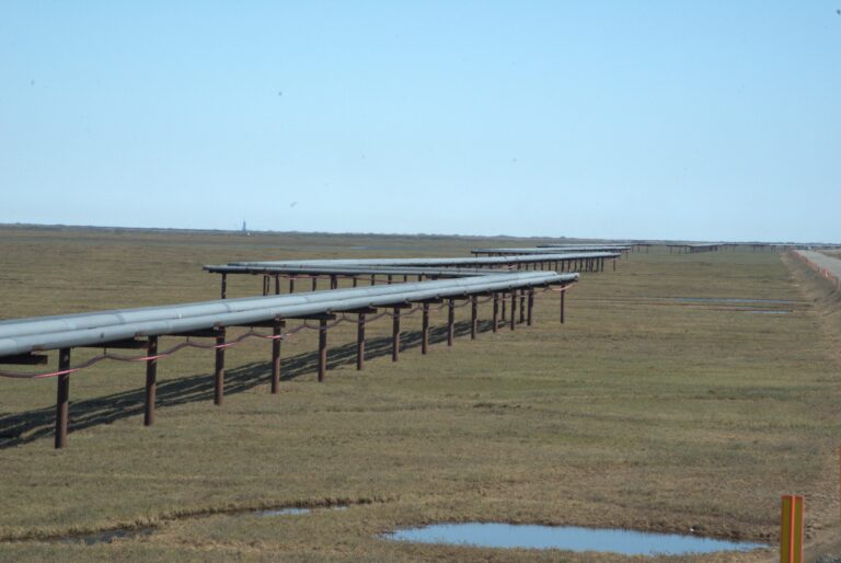 Στην νέα ταινία του Γιώργου Αυγερόπουλου, το permafrost, είναι το παρελθόν που επιστρέφει για να μας εκδικηθεί