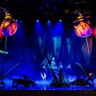 Στα παρασκήνια του «OVO»: Βρεθήκαμε στον μαγικό κόσμο του Cirque du Soleil στην Αγγλία