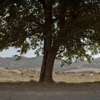 Η «Λύτρωση» του Emin Alper, ταινία με ελληνική συμπαραγωγή, στο Διαγωνιστικό Τμήμα της Berlinale