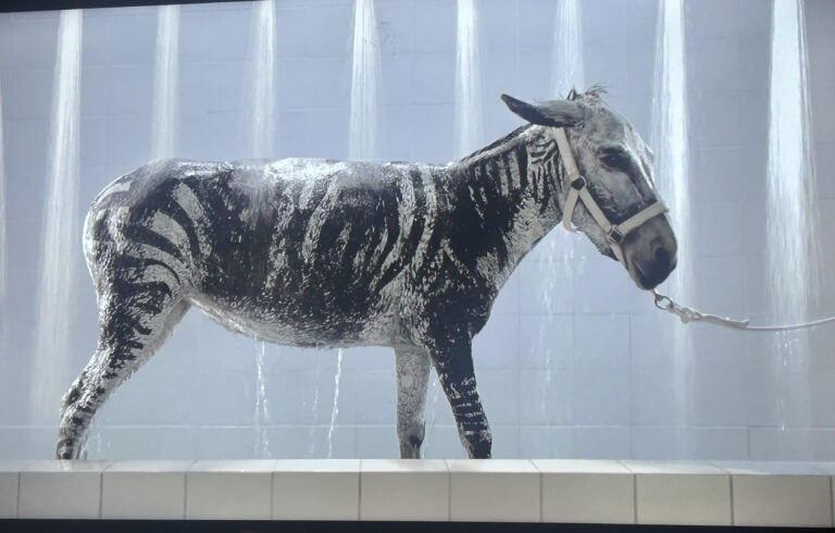 Είναι η σημαντικότερη έκθεση στην Αθήνα η «All Eyes on Palestine»;