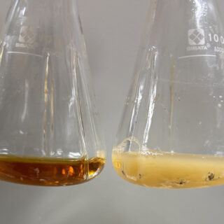 Επιστήμονες δημιούργησαν ενώσεις με αντικαρκινικές και αντιφλεγμονώδεις ιδιότητες από βακτήρια E.coli