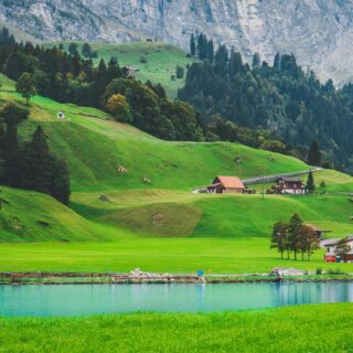 Η Ελβετία θα πάει σε δημοψήφισμα για το αν θα επιβάλει πλαφόν στον πληθυσμό της