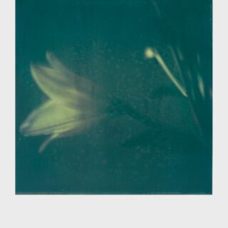 It's Always the Sun: Εγκαίνια Έκθεσης φωτογραφίας της Ελισάβετ Μωράκη