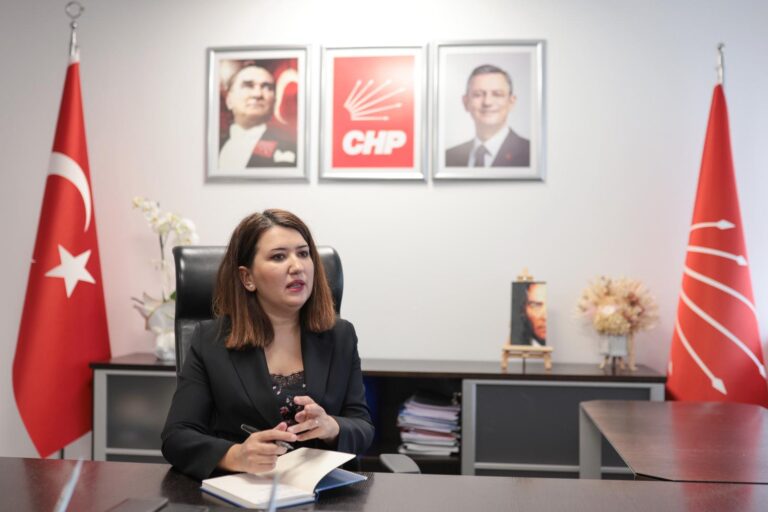 Gokce Gokcen, CHP