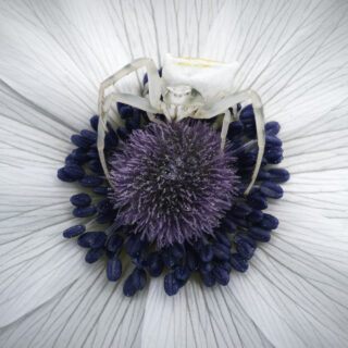 Ο Λόφος καλωσορίζει την Άνοιξη με «μικρές ιεροτελεστίες»