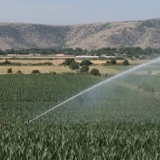 Ηλεκτροπληξία και πνιγμό έδειξε η ιατροδικαστική εξέταση για τον 10χρονο στις Σέρρες