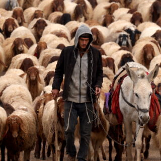 Διεθνής Αμνηστία: Το Ισραήλ διεξάγει εθνοκάθαρση σε βάρος των βεδουίνων της Δυτικής Όχθης