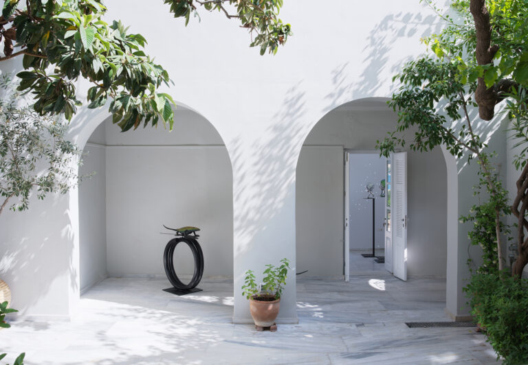 CITRONNE Gallery