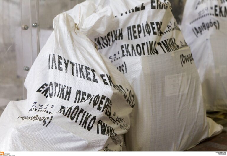 Βουνό ή θάλασσα; Φθινόπωρο ή άνοιξη;