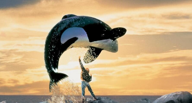 Το αγαπημένο Free Willy των '90s επιστρέφει με reboot
