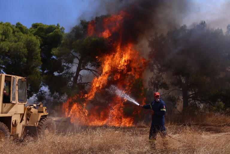Φωτιά στη Δυτική Αττική: Ενεργό το μέτωπο σε Ψάθα και Λούμπα, μάχη με διάσπαρτες εστίες