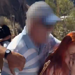 Η PETA καταγγέλλει επίθεση αγωγιατών σε τρεις ακτιβίστριες στη Σαντορίνη