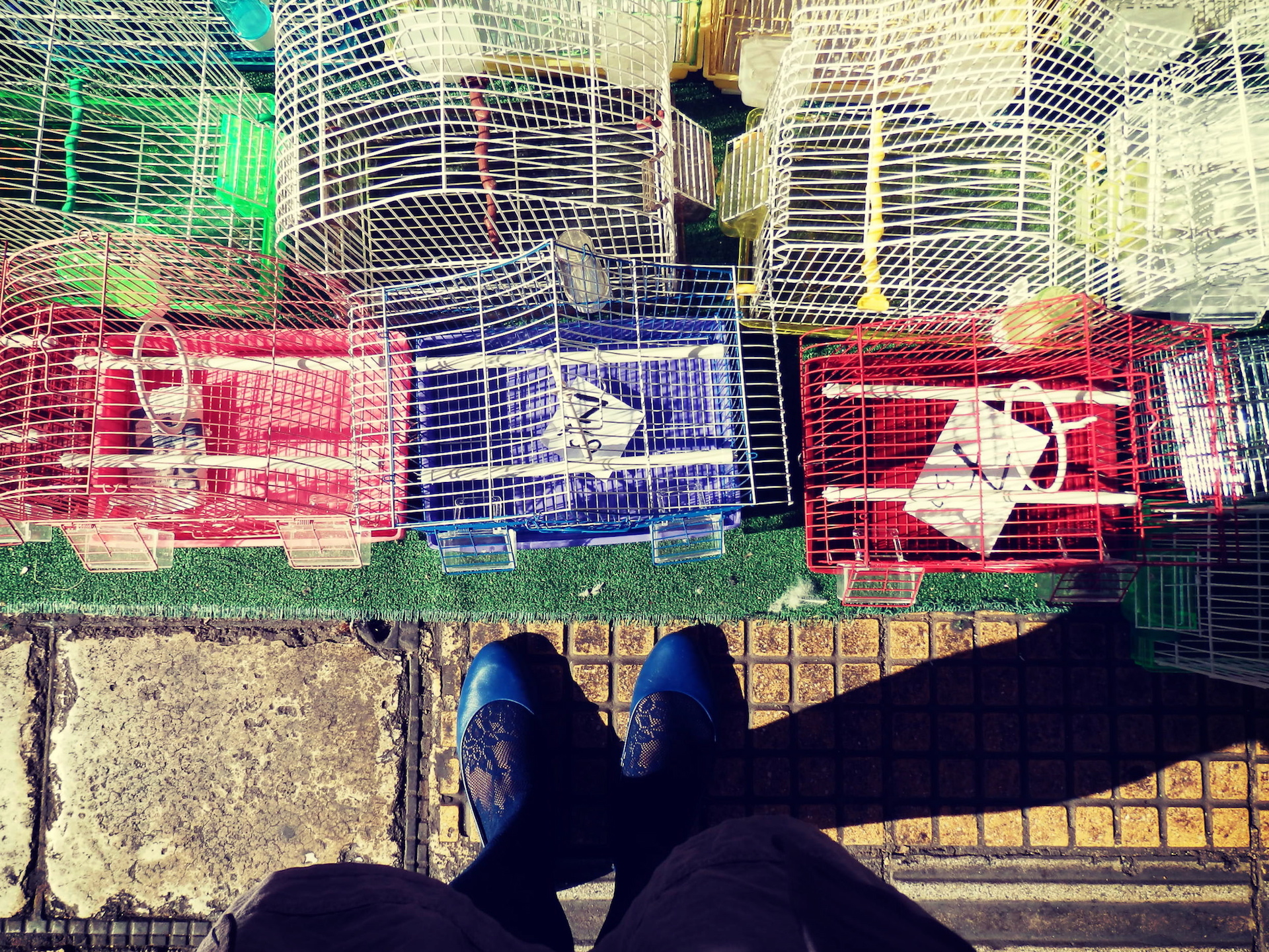 OLYMPUS DIGITAL CAMERA