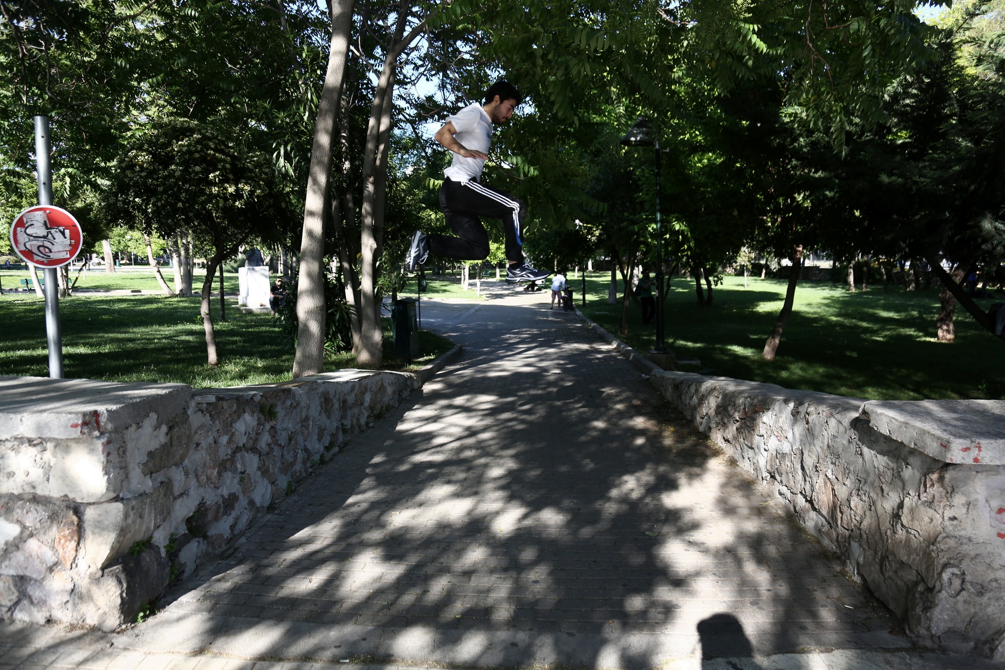 ALK_7303