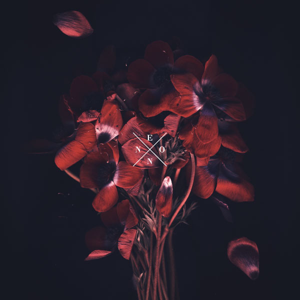NEON-WEB