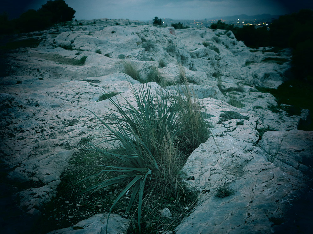 kostaris 05 1447