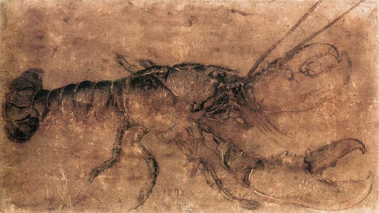 Albrecht Dürer, 1495