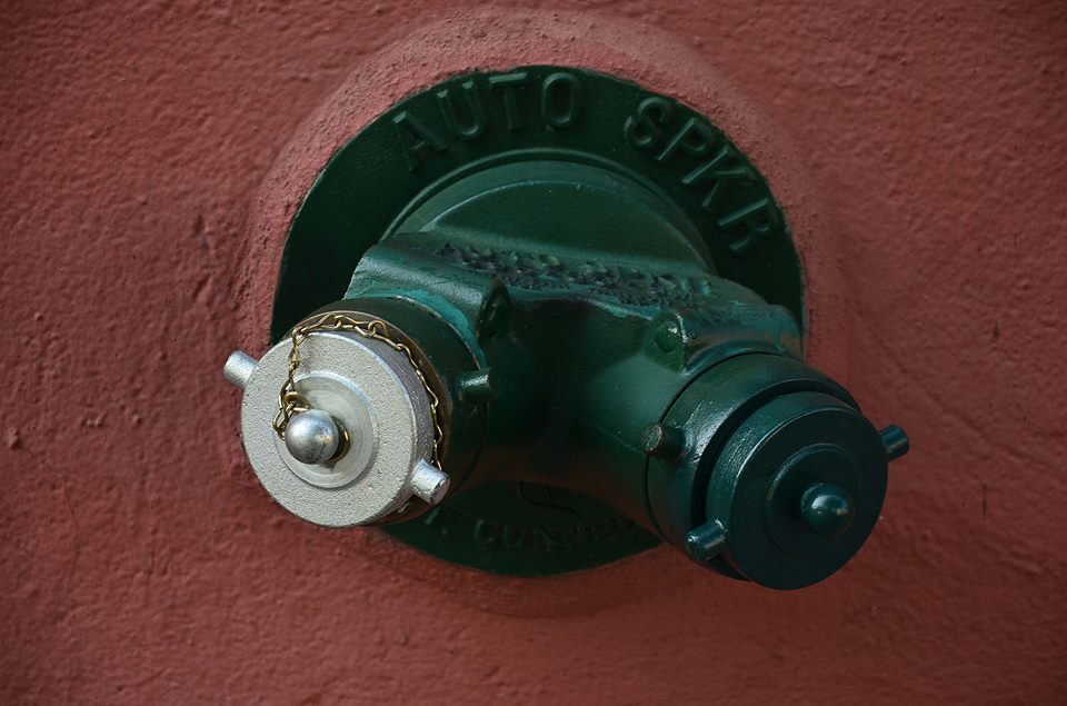 magriotis4