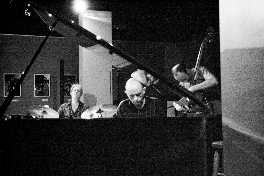 the necks at the blue whale